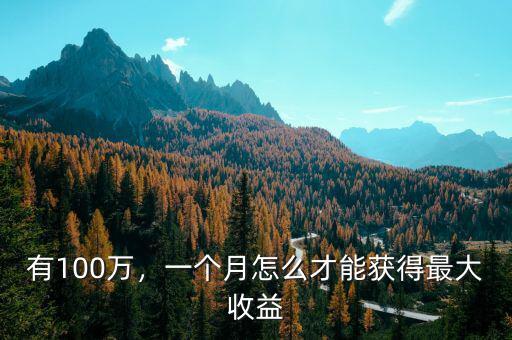 有100萬，一個(gè)月怎么才能獲得最大收益