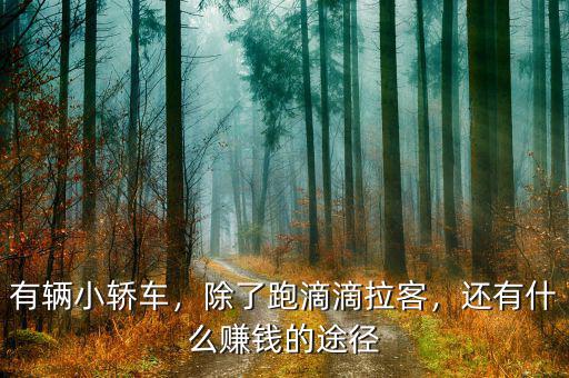 有輛小轎車，除了跑滴滴拉客，還有什么賺錢的途徑