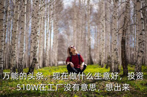萬能的頭條，現(xiàn)在做什么生意好，投資510W在工廠沒有意思，想出來