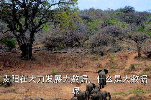 貴陽在大力發(fā)展大數(shù)據(jù)，什么是大數(shù)據(jù)呢