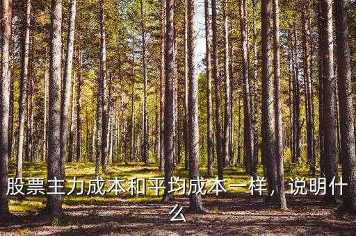 股票主力成本和平均成本一樣，說明什么