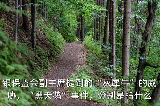 銀保監(jiān)會(huì)副主席提到的“灰犀?！钡耐{，“黑天鵝”事件，分別是指什么