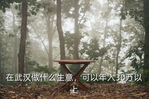 在武漢做什么生意，可以年入30萬以上