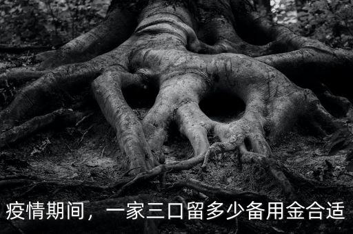 疫情期間，一家三口留多少備用金合適