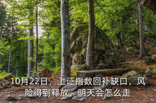 10月22日，上證指數(shù)回補(bǔ)缺口，風(fēng)險(xiǎn)得到釋放，明天會(huì)怎么走
