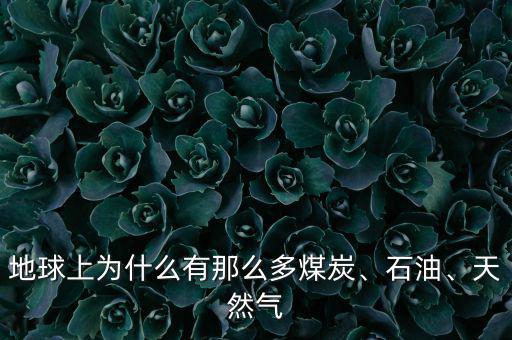 地球上為什么有那么多煤炭、石油、天然氣