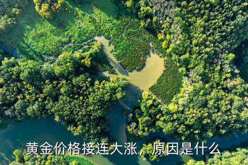 黃金價格接連大漲，原因是什么
