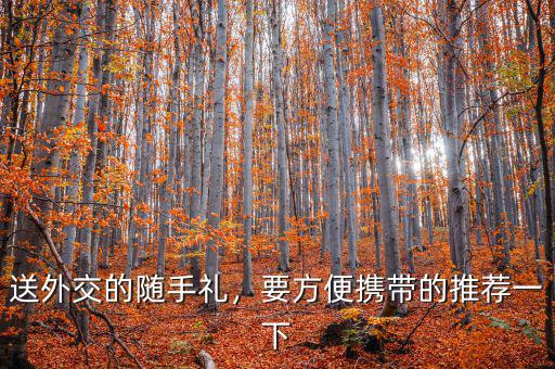 送外交的隨手禮，要方便攜帶的推薦一下