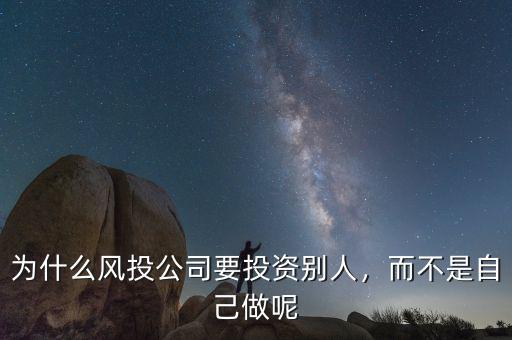 為什么風投公司要投資別人，而不是自己做呢