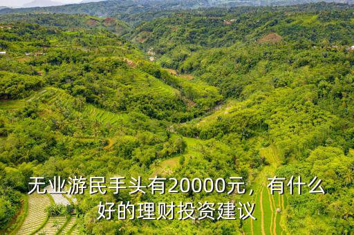 無業(yè)游民手頭有20000元，有什么好的理財投資建議