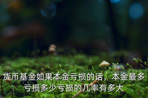 貨幣基金如果本金虧損的話，本金最多虧損多少虧損的幾率有多大