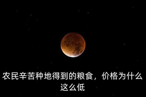 農(nóng)民辛苦種地得到的糧食，價(jià)格為什么這么低
