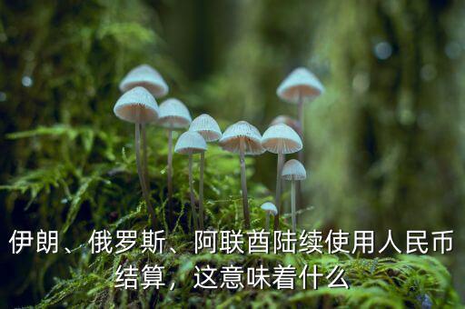 伊朗、俄羅斯、阿聯(lián)酋陸續(xù)使用人民幣結(jié)算，這意味著什么