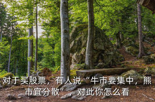 對于買股票，有人說“牛市要集中，熊市宜分散”，對此你怎么看