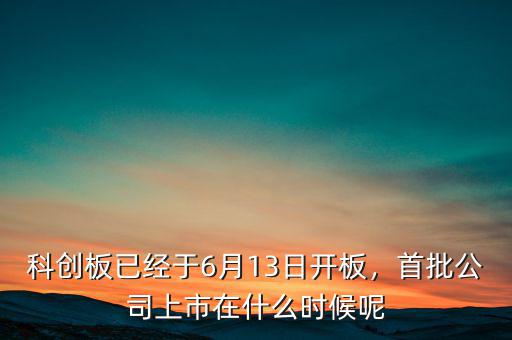 科創(chuàng)板已經(jīng)于6月13日開板，首批公司上市在什么時(shí)候呢