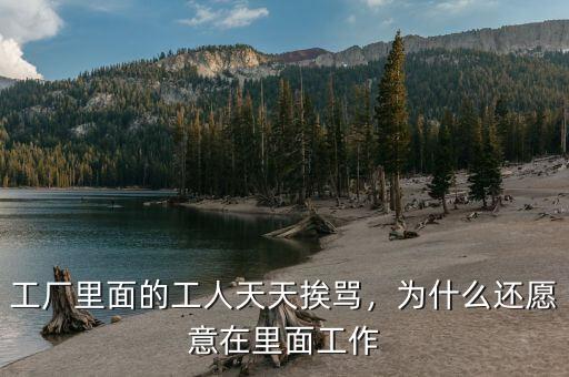 工廠里面的工人天天挨罵，為什么還愿意在里面工作