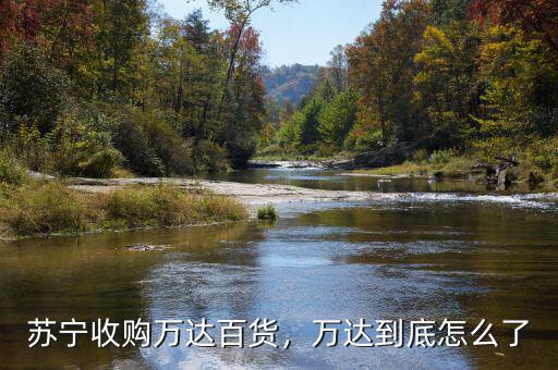 蘇寧收購萬達百貨，萬達到底怎么了