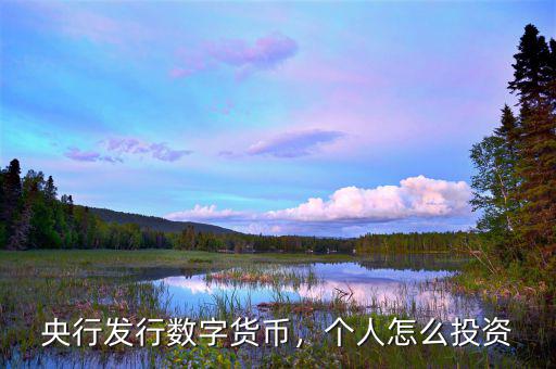 央行發(fā)行數(shù)字貨幣，個人怎么投資