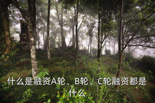 什么是融資A輪、B輪、C輪融資都是什么