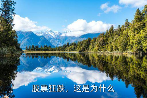 股票狂跌，這是為什么