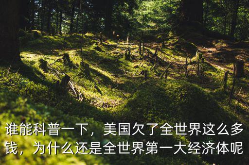 誰能科普一下，美國欠了全世界這么多錢，為什么還是全世界第一大經(jīng)濟(jì)體呢