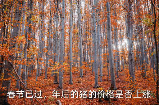 春節(jié)已過(guò)，年后的豬的價(jià)格是否上漲