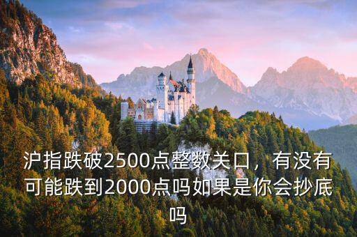 滬指跌破2500點(diǎn)整數(shù)關(guān)口，有沒(méi)有可能跌到2000點(diǎn)嗎如果是你會(huì)抄底嗎