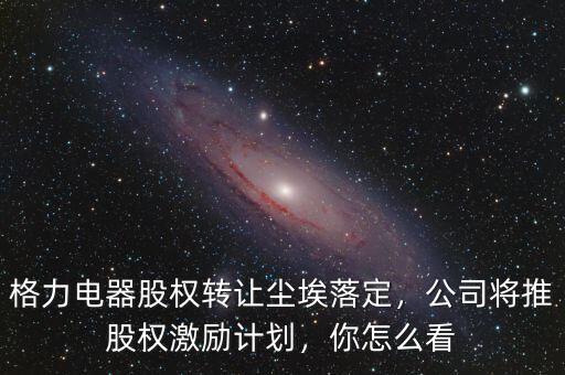格力電器股權(quán)轉(zhuǎn)讓塵埃落定，公司將推股權(quán)激勵(lì)計(jì)劃，你怎么看