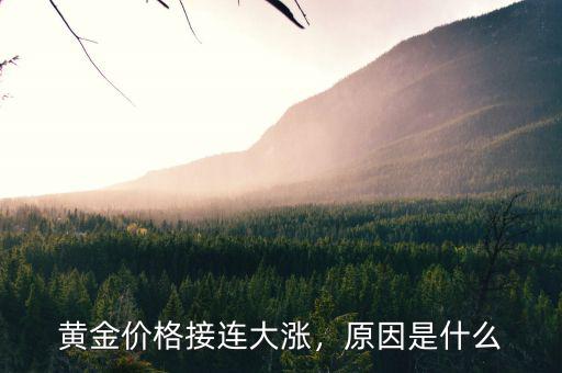 黃金價(jià)格接連大漲，原因是什么