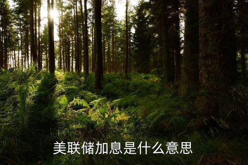 美聯儲什么時候宣布加息,美聯儲加息是什么意思