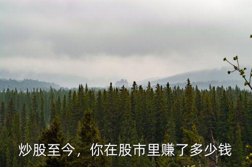 這次股災你賠了多少,你炒股虧了多少錢