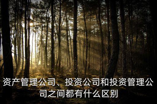 資產(chǎn)管理公司、投資公司和投資管理公司之間都有什么區(qū)別