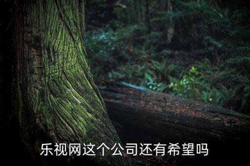 樂(lè)視網(wǎng)這個(gè)公司還有希望嗎