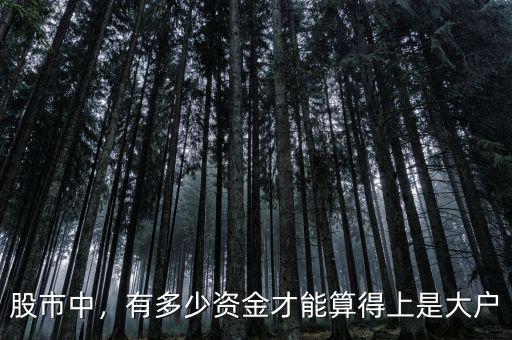 股市中，有多少資金才能算得上是大戶