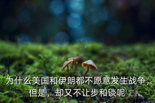 為什么美國和伊朗都不愿意發(fā)生戰(zhàn)爭，但是，卻又不讓步和談呢