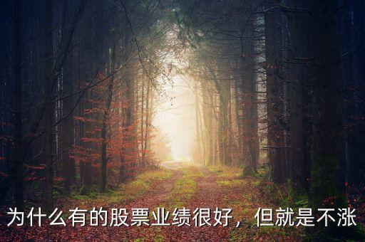 為什么有的股票業(yè)績(jī)很好，但就是不漲