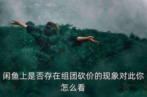閑魚(yú)上是否存在組團(tuán)砍價(jià)的現(xiàn)象對(duì)此你怎么看