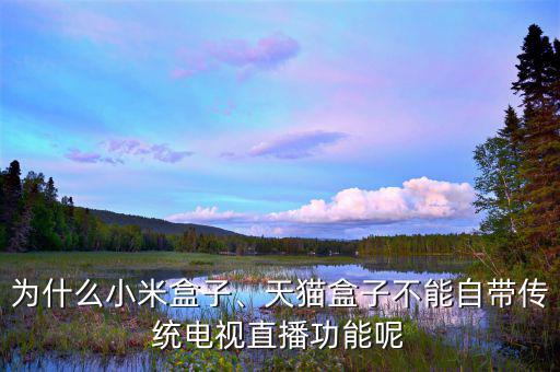 為什么小米盒子、天貓盒子不能自帶傳統(tǒng)電視直播功能呢