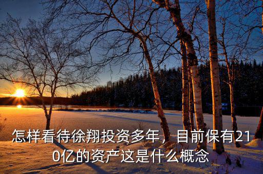怎樣看待徐翔投資多年，目前保有210億的資產(chǎn)這是什么概念
