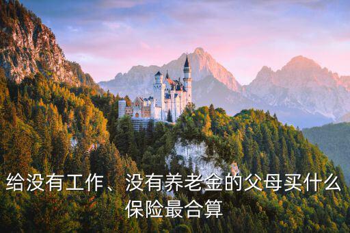 給沒有工作、沒有養(yǎng)老金的父母買什么保險最合算