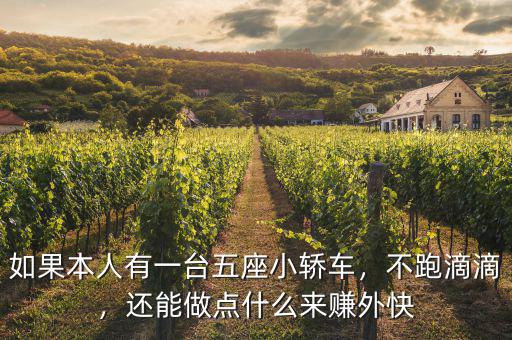如果本人有一臺(tái)五座小轎車，不跑滴滴，還能做點(diǎn)什么來賺外快