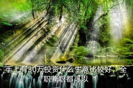 手上有30萬投資什么生意比較好，全職兼職都可以