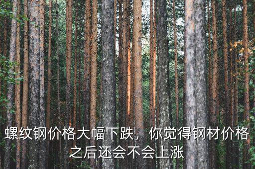 螺紋鋼價格大幅下跌，你覺得鋼材價格之后還會不會上漲