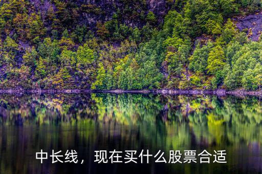 中長(zhǎng)線，現(xiàn)在買(mǎi)什么股票合適