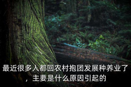 最近很多人都回農(nóng)村抱團(tuán)發(fā)展種養(yǎng)業(yè)了，主要是什么原因引起的