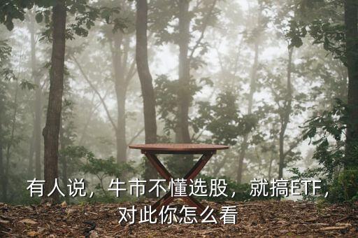有人說，牛市不懂選股，就搞ETF，對此你怎么看