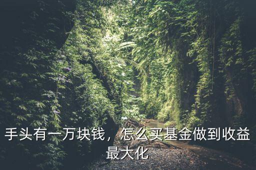 手頭有一萬(wàn)塊錢(qián)，怎么買(mǎi)基金做到收益最大化