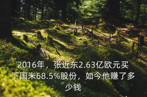 2016年，張近東2.63億歐元買下國米68.5%股份，如今他賺了多少錢