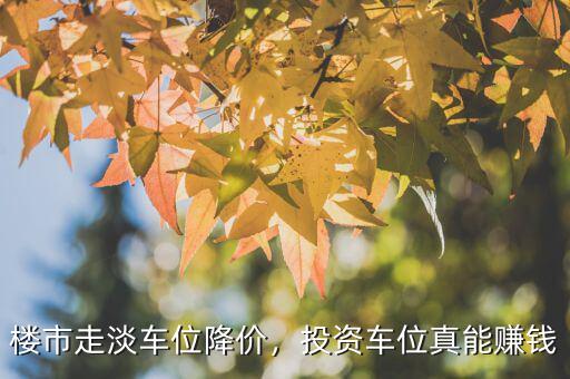 樓市走淡車位降價，投資車位真能賺錢