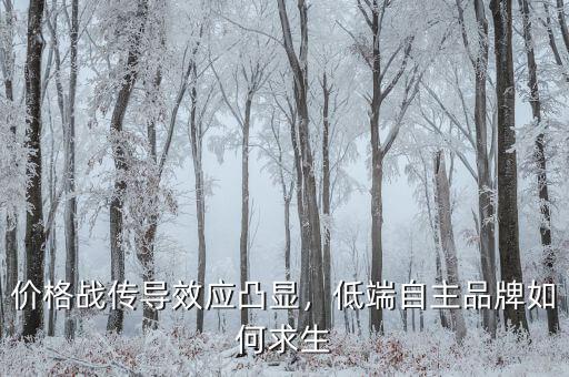 價格戰(zhàn)傳導(dǎo)效應(yīng)凸顯，低端自主品牌如何求生